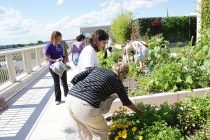 working together on the roof this summer!